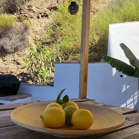 Casa Maliyaa Διαμέρισμα Almáchar Εξωτερικό φωτογραφία