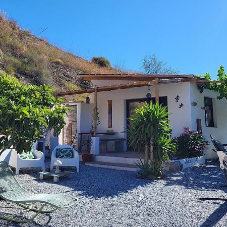 Casa Maliyaa Διαμέρισμα Almáchar Εξωτερικό φωτογραφία