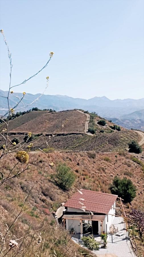 Casa Maliyaa Διαμέρισμα Almáchar Εξωτερικό φωτογραφία